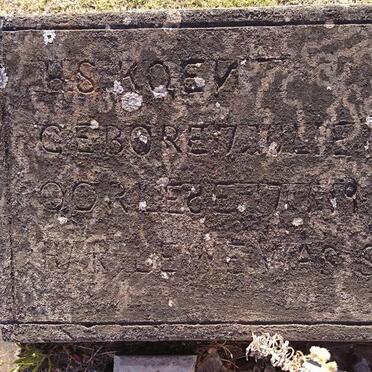 KOEN ?. S. 1952-1969