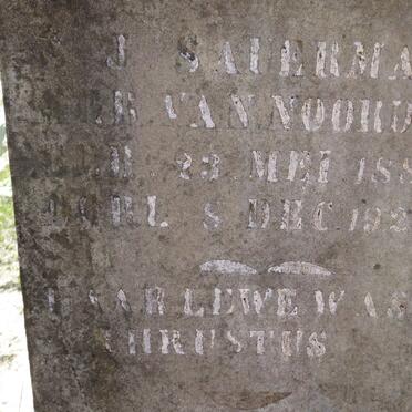 SAUERMAN S.J. nee VAN NOORDWYK 1883-1927