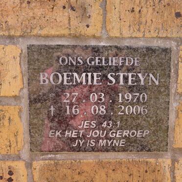 STEYN Boemie 1970-2006