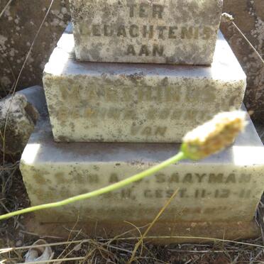 SAAYMAN Marthinus 1911-1911