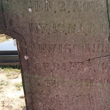 WENTZEL H.J. 1869-1945