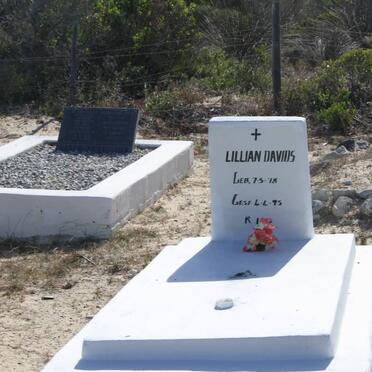 DAVIDS Lillian 1978-1995