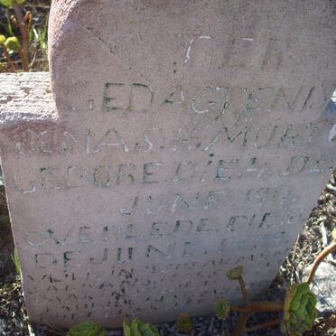 MURTZ Jonas H. 1911-1939