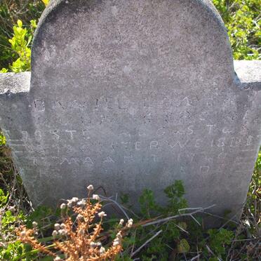 ? LANER Daniel 1877-1940