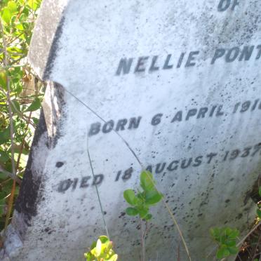 PONTAC Nellie 1910-1937