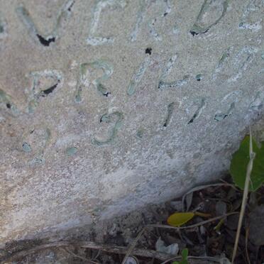 NEW William J. 1925-1938