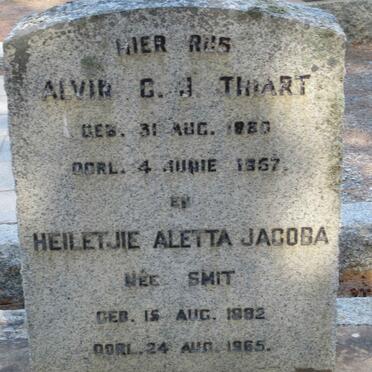 T - Vanne :: Surnames - T