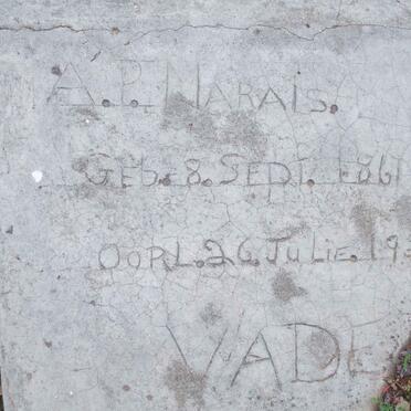 M - Surnames :: Vanne - M