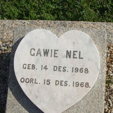 NEL Gawie 1968-1968