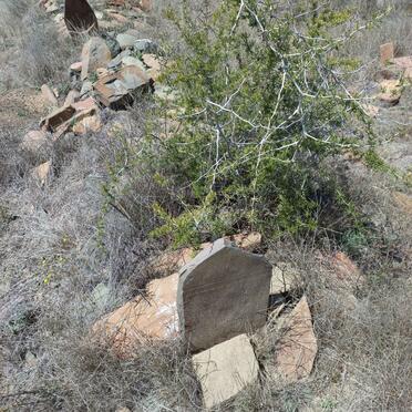 3. Overview / Oorsig