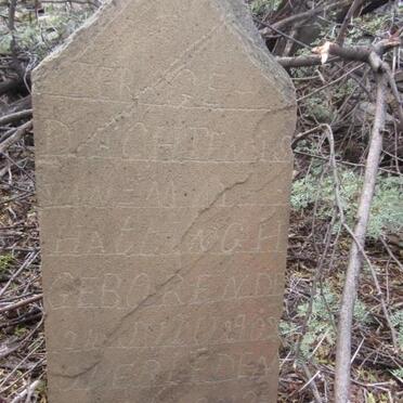 HATTINGH  M.M. 1902-192?