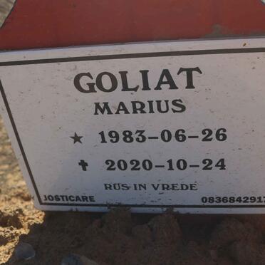 GOLIAT Marius 1983-2020