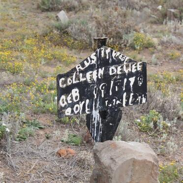 WEE Colleen, de 1978-1979