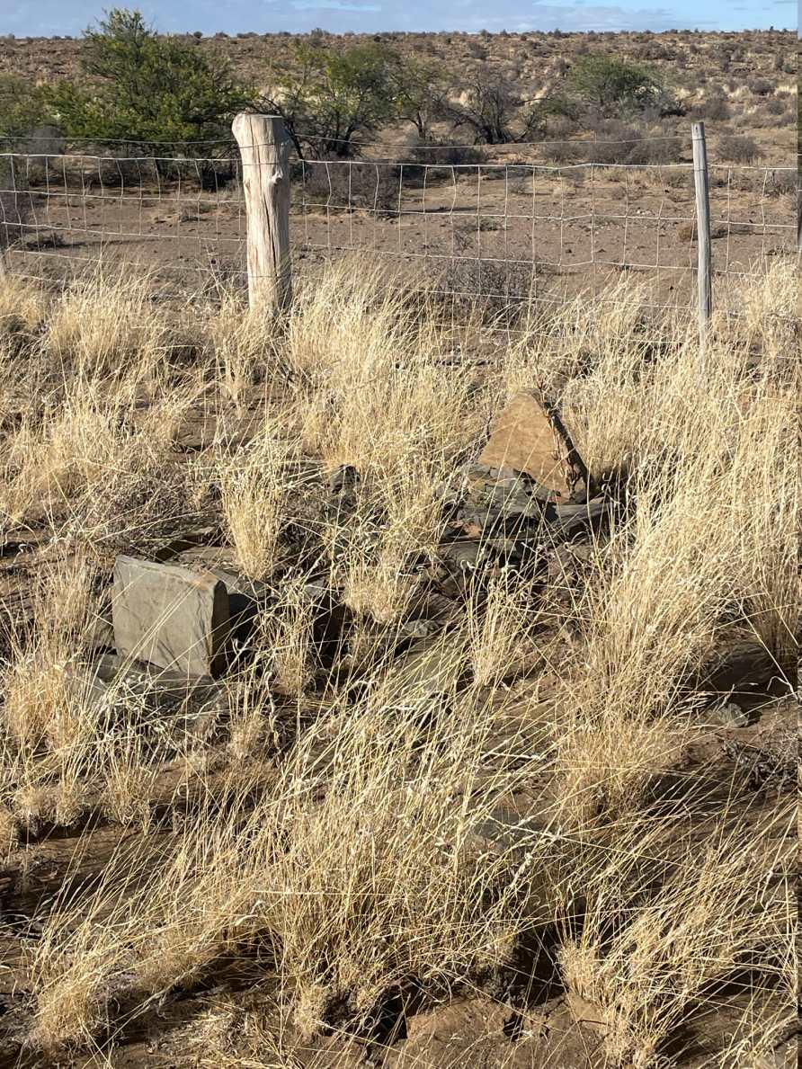 1. Overview / Oorsig