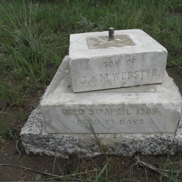 WEBSTER -1905
