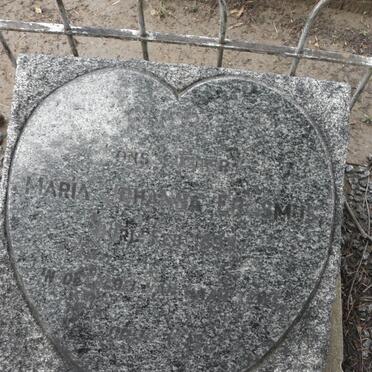 ERASMUS Maria Johanna -189?