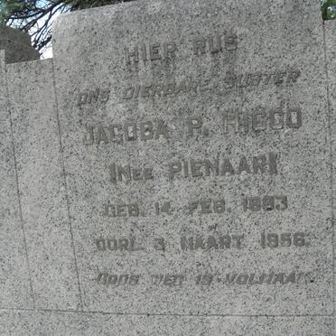 HIGGO Jacoba P. nee PIENAAR 1883-1956