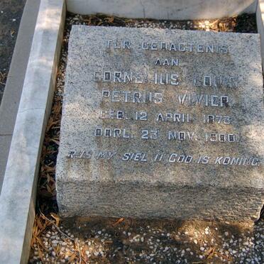 VIVIER Cornelius Louis Petrus 1873-1900