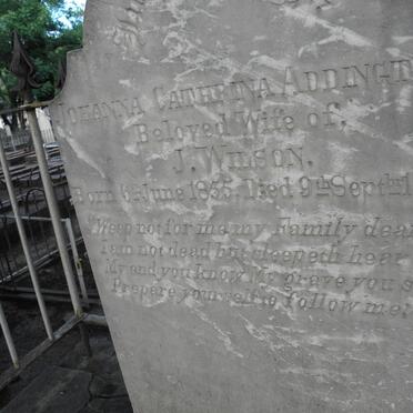 WILSON Johanna Catherina nee ADDINGTON 1855-188?