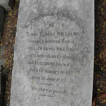 WILLIAMS David Tebias 1849-1883