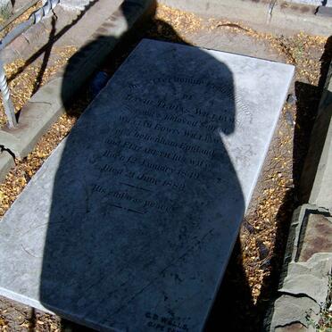 WILLIAMS David T. 1849-1883