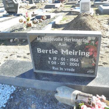 MEIRING Bertie 1966-2001