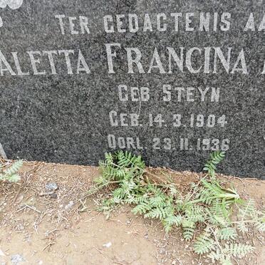 BAA?? Aletta Francina nee STEYN 1904-1936