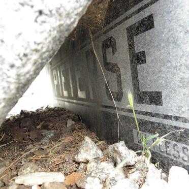 PIETERSE Hendrik J.J. 1923-1961