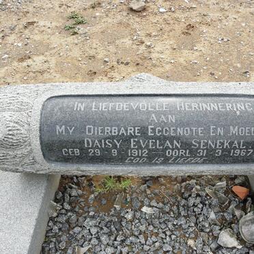 SENEKAL Daisy Evelan 1912-1967