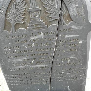 WILLIAMS Willie J. -1904