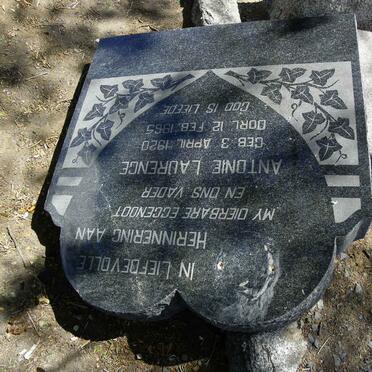 BOTHMA Antonie Lourence 1920-1965