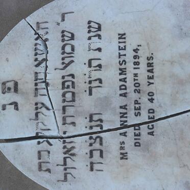 ADAMSTEIN Anna -1894