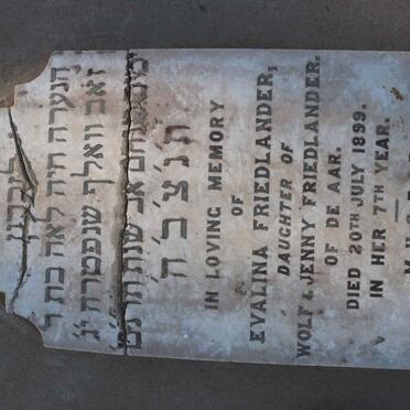 FRIEDLANDER Evalina -1899