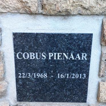 PIENAAR Cobus 1968-2013