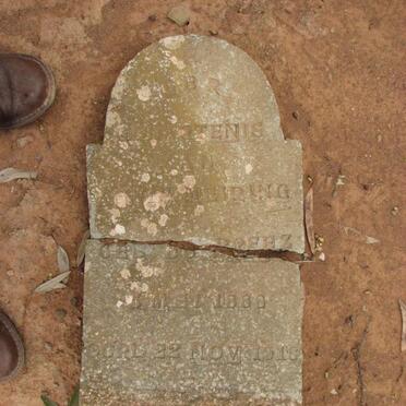 MEIRING ?? nee DU PREEZ 1880-1918