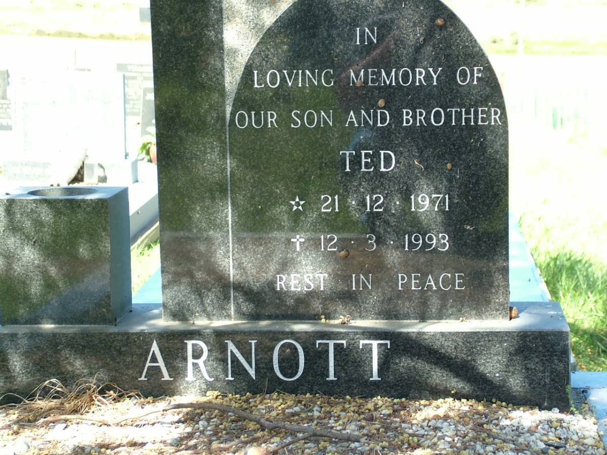 ARNOTT Ted 1971-1993