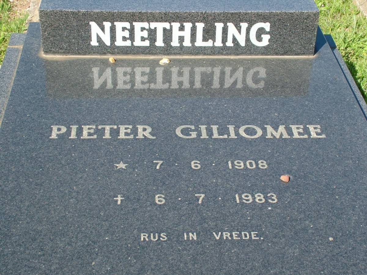 NEETHLING Pieter Giliomee 1908-1983