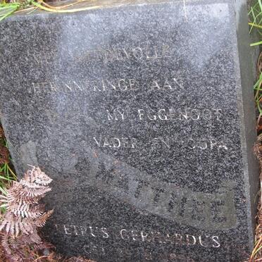 MATTHEE Petrus Gerhardus 1896-1975