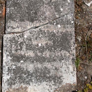 MARX Ungeborg Elizabeth 1902-1906