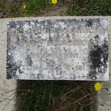 ? Willy Emil Johannes 1911-1913