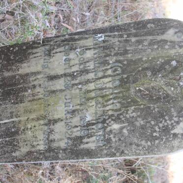 BADENHORST M.N.M.G 1919-1924