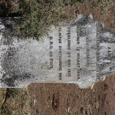 Western Cape, BREDASDORP district, Die Kop, Wydgelegen 59, farm cemetery_2