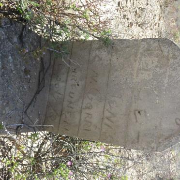 GREUNEN Gerrie, van 1926-