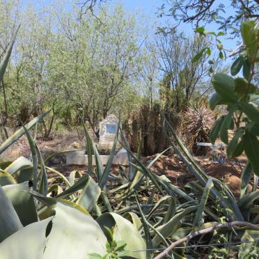 1. Overview / Oorsig