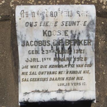 Western Cape, CALITZDORP district, Kruis Rivier 9, farm cemetery_5