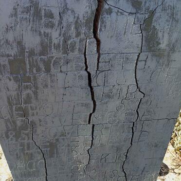 SWART Elizabeth Johanna nee MEIRING 1854-1935