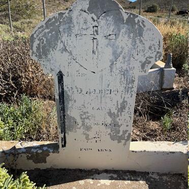 Western Cape, CALITZDORP district, Rooibergpas, Welgunst 34, farm cemetery_3