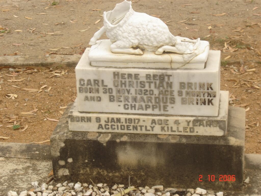 BRINK Carl Christiaan 1920-1921 :: BRINK Berhardus 1917-1921