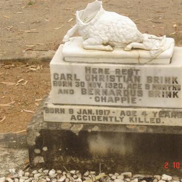 BRINK Carl Christiaan 1920-1921 :: BRINK Berhardus 1917-1921