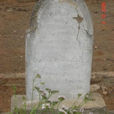 CALITZ Hester H. 1848-1930